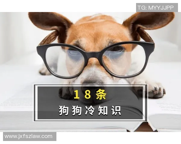 你不知道的VAR：十大冷知识大揭秘