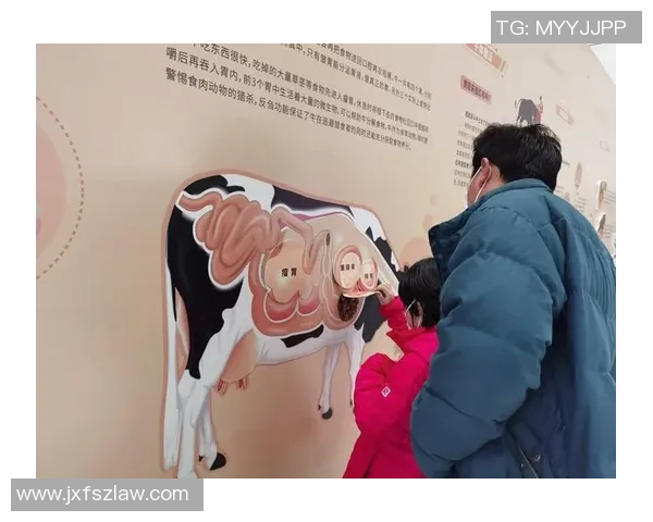 你不知道的公牛：十大冷知识大揭秘